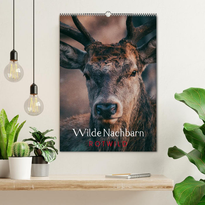 Wilde Nachbarn: Rotwild (CALVENDO Wandkalender 2027)