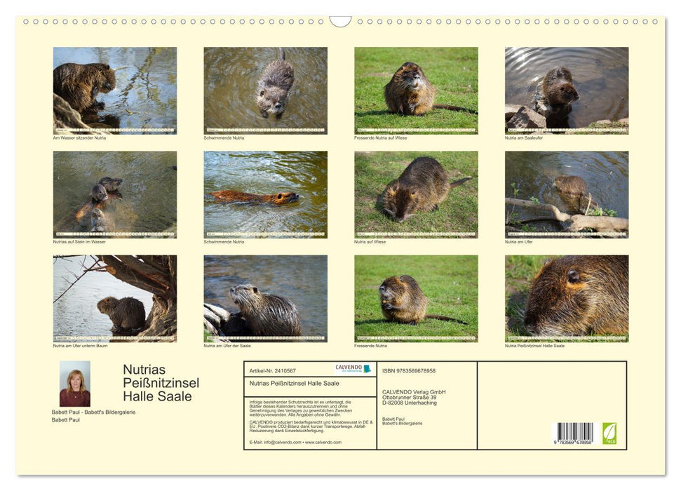 Nutrias Peißnitzinsel Halle Saale (CALVENDO Wandkalender 2027)