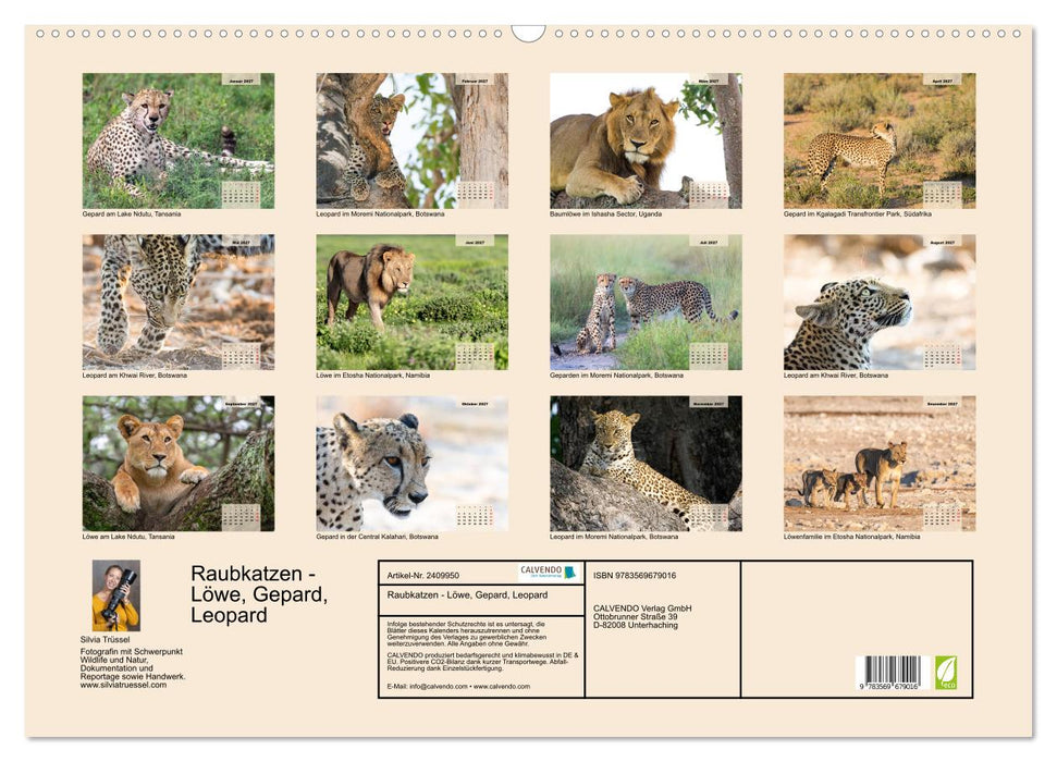 Raubkatzen - Löwe, Gepard, Leopard (CALVENDO Wandkalender 2027)
