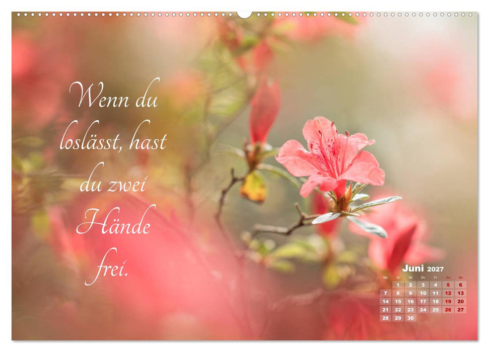 Chinesische Weisheiten (CALVENDO Premium Wandkalender 2027)