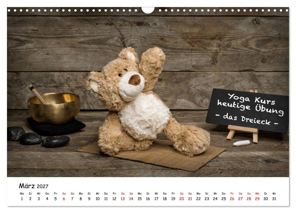 Eddy, der Teddy (CALVENDO Wandkalender 2027)