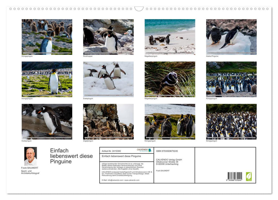 Einfach liebenswert diese Pinguine (CALVENDO Wandkalender 2027)