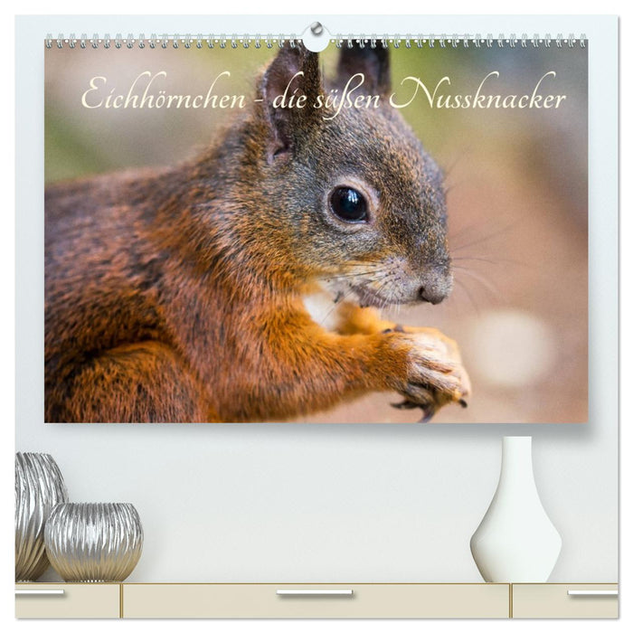 Eichhörnchen - die süßen Nussknacker (CALVENDO Premium Wandkalender 2027)