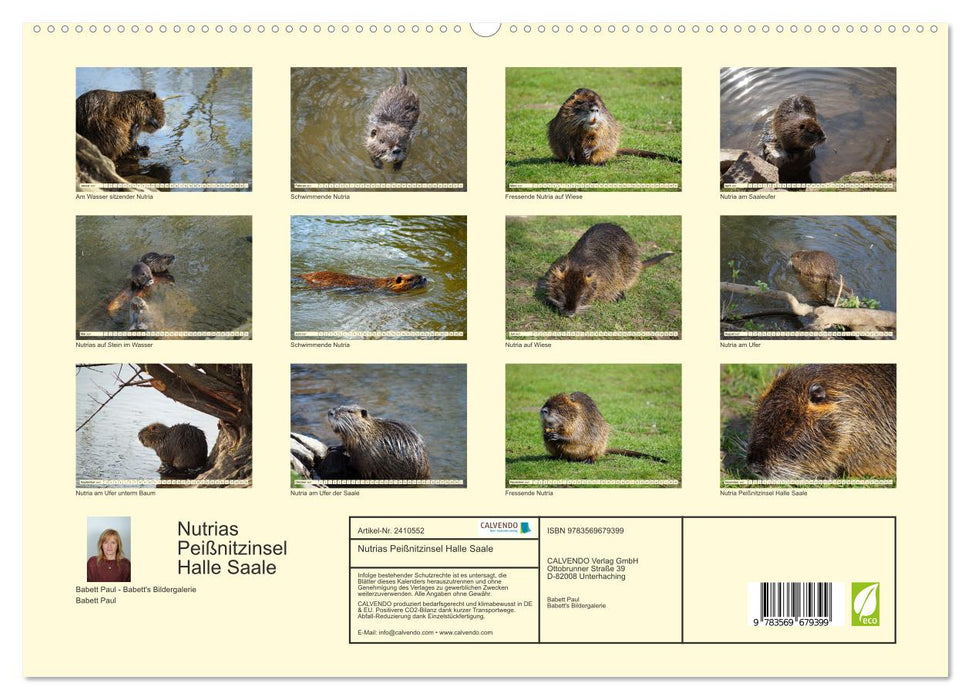 Nutrias Peißnitzinsel Halle Saale (CALVENDO Premium Wandkalender 2027)