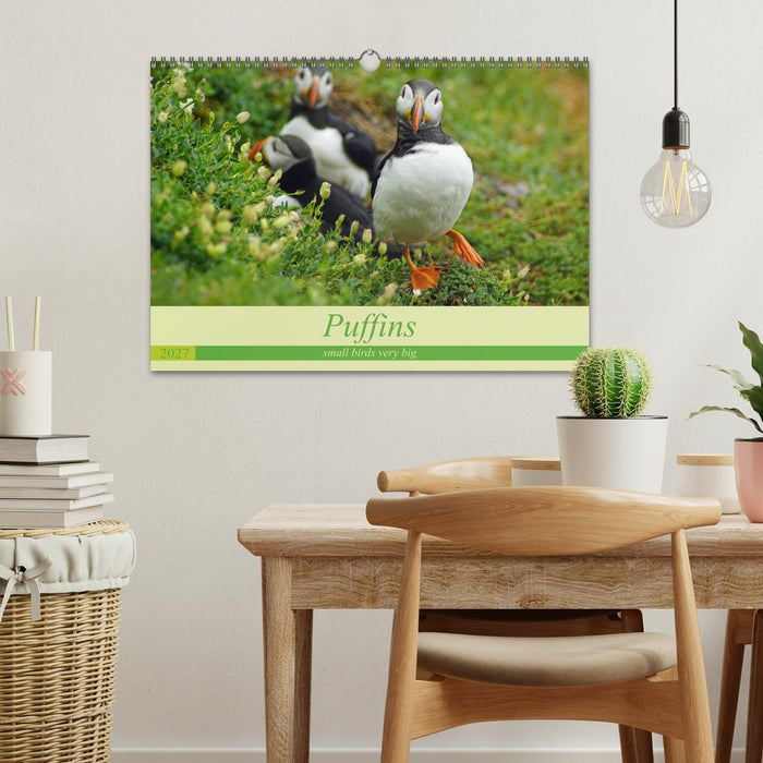 Puffins - small birds very big (CALVENDO Monthly Calendar 2027)