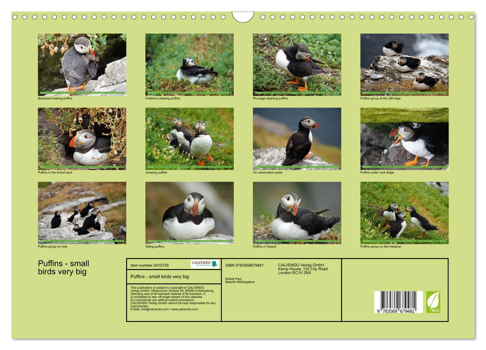 Puffins - small birds very big (CALVENDO Monthly Calendar 2027)