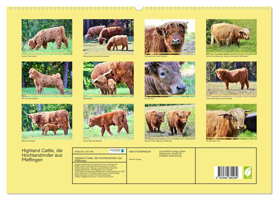 Highland Cattle, die Hochlandrinder aus Pfeffingen (CALVENDO Premium Wandkalender 2027)