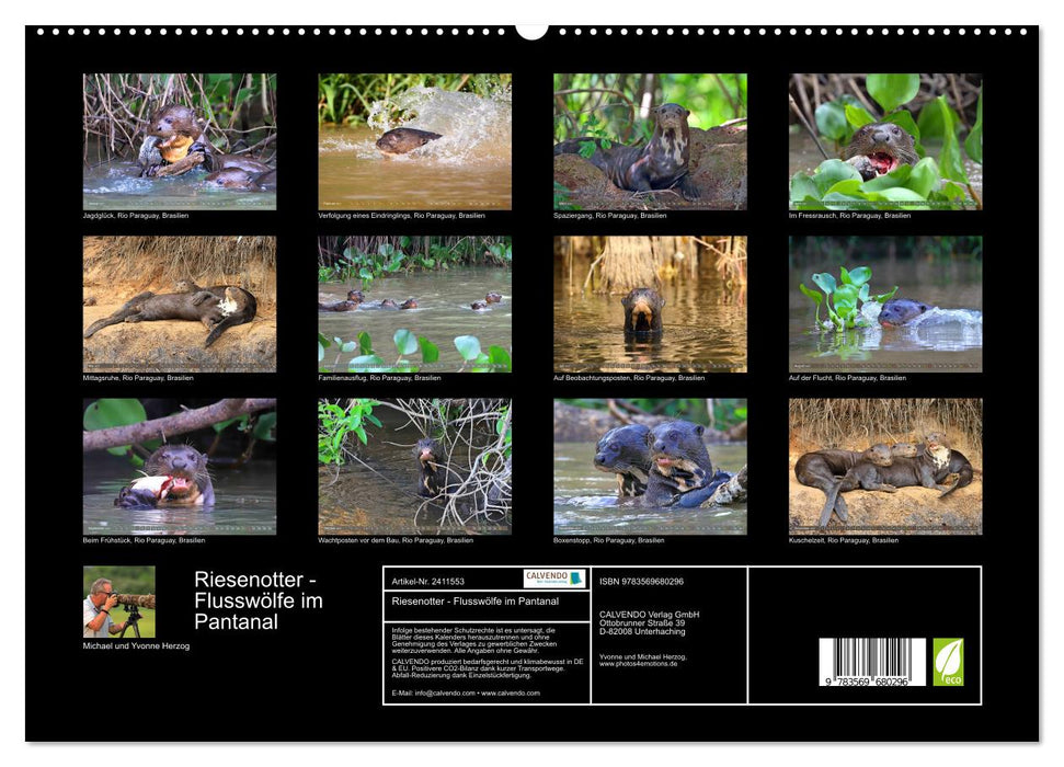 Riesenotter - Flusswölfe im Pantanal (CALVENDO Premium Wandkalender 2027)