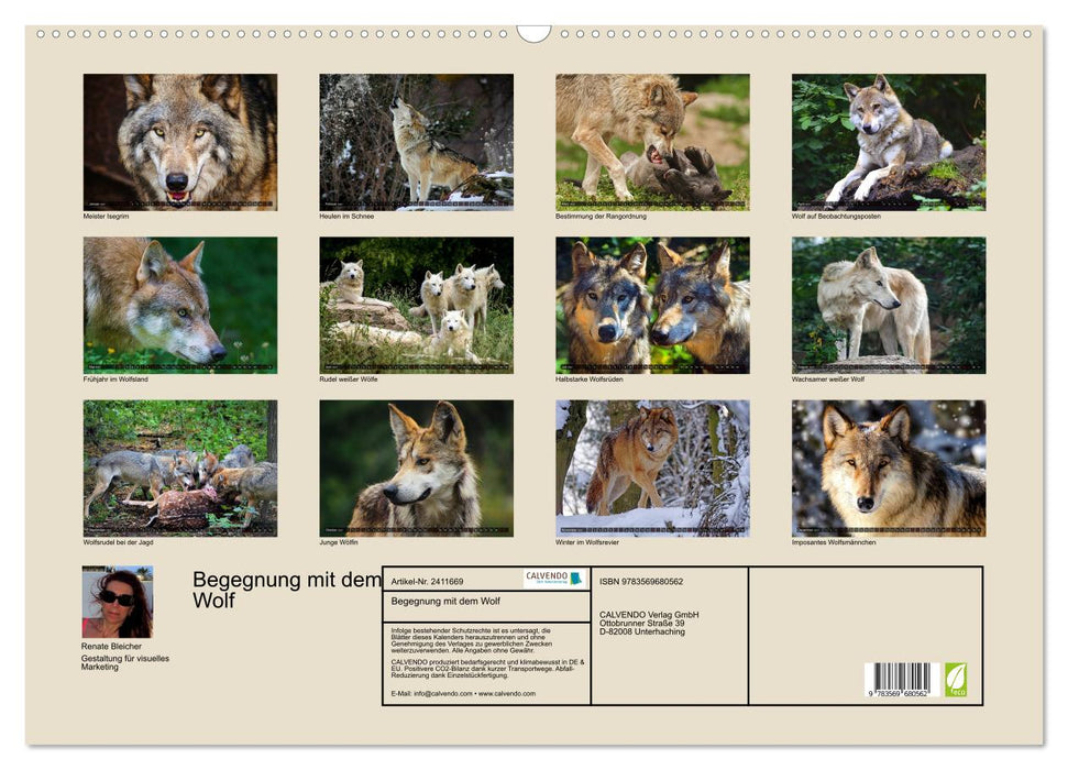 Begegnung mit dem Wolf (CALVENDO Wandkalender 2027)