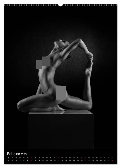BODY SCULPTURE (CALVENDO Premium Wandkalender 2027)