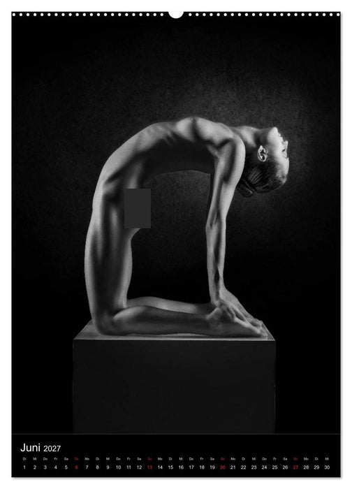 BODY SCULPTURE (CALVENDO Premium Wandkalender 2027)