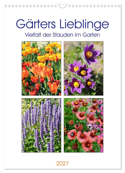 Gärtners Lieblinge - Vielfalt der Stauden im Garten (CALVENDO Wandkalender 2027)
