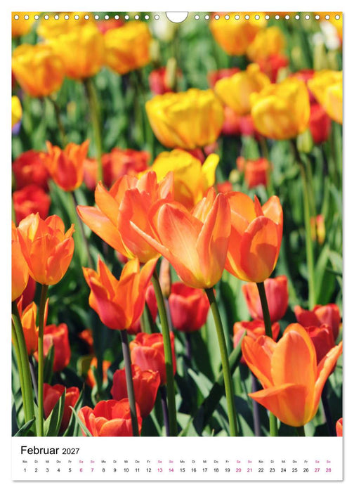 Gärtners Lieblinge - Vielfalt der Stauden im Garten (CALVENDO Wandkalender 2027)