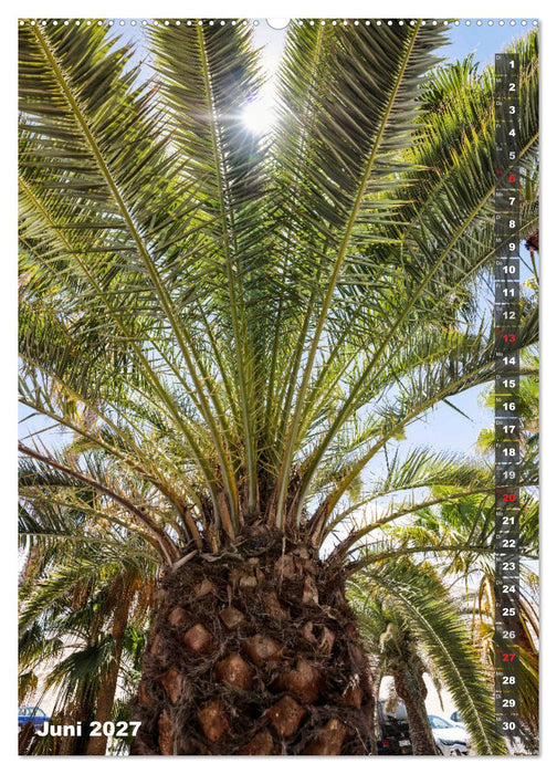 FUERTEVENTURA Südsee-Flair (CALVENDO Wandkalender 2027)