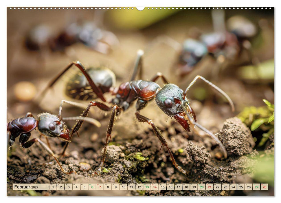 Spektakuläre Ameisen (CALVENDO Wandkalender 2027)