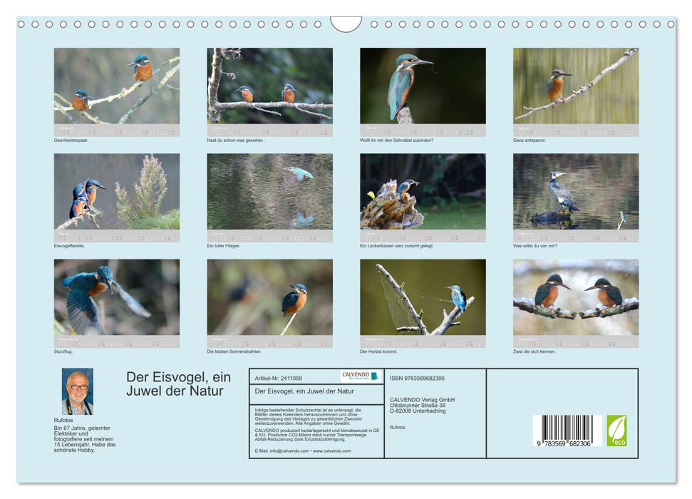 Der Eisvogel, ein Juwel der Natur (CALVENDO Wandkalender 2027)