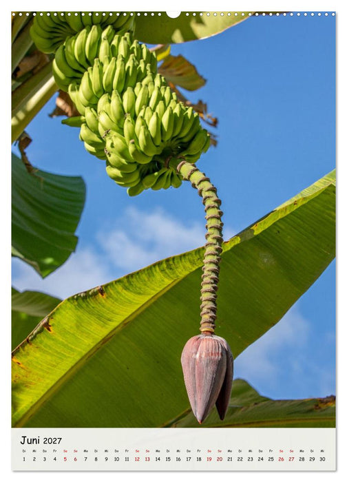 Seychellen -Traumhafte Landschaften (CALVENDO Wandkalender 2027)