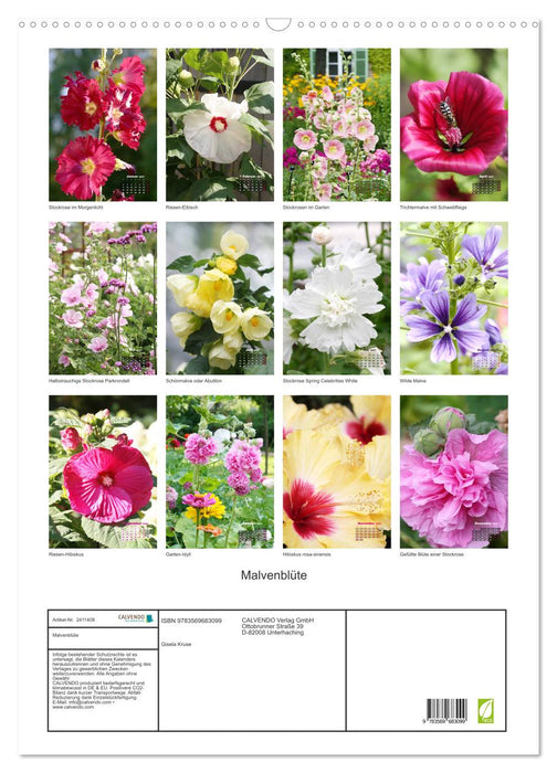 Malvenblüte (CALVENDO Wandkalender 2027)