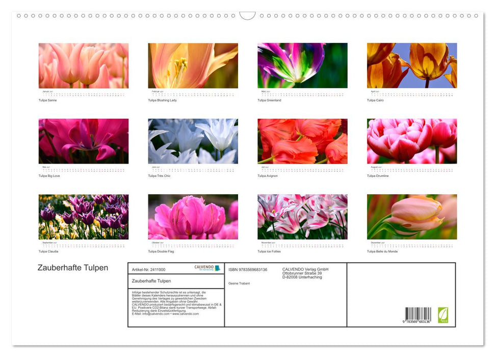 Zauberhafte Tulpen (CALVENDO Wandkalender 2027)