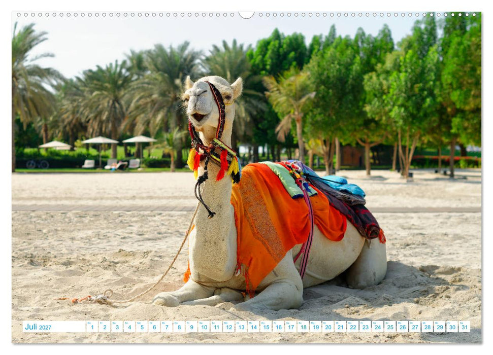 Atemraubendes Abu Dhabi - Idylle am Persischen Golf (CALVENDO Premium Wandkalender 2027)