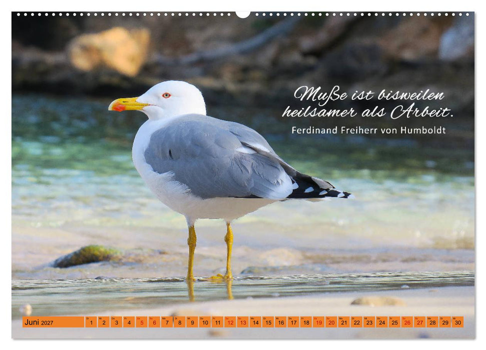 Ruhe und Gelassenheit 2027 (CALVENDO Premium Wandkalender 2027)