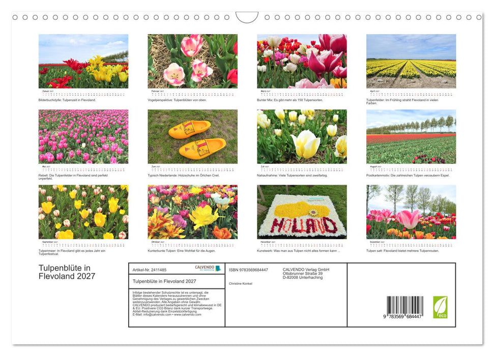 Tulpenblüte in Flevoland 2027 (CALVENDO Wandkalender 2027)