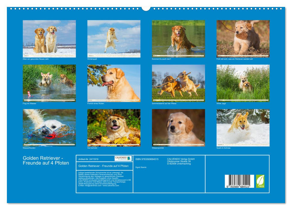 Golden Retriever - Freunde auf 4 Pfoten (CALVENDO Premium Wandkalender 2027)