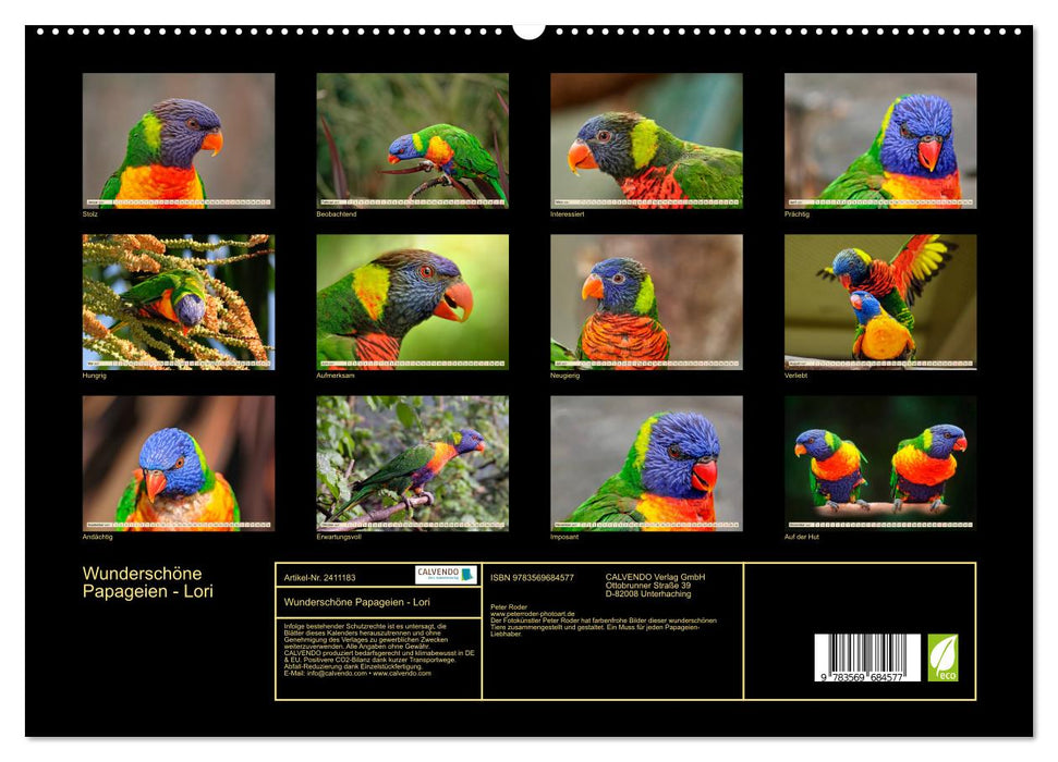 Wunderschöne Papageien - Lori (CALVENDO Premium Wandkalender 2027)
