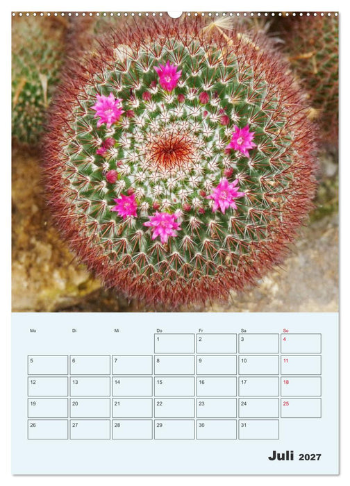 Wehrhafte Sukkulenten (CALVENDO Premium Wandkalender 2027)