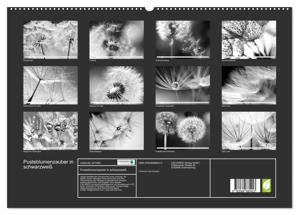 Pusteblumenzauber in schwarzweiß (CALVENDO Premium Wandkalender 2027)