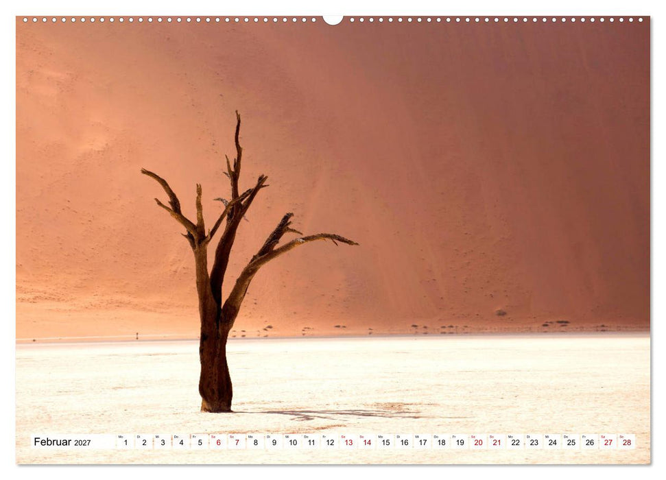 Wüstenlandschaften (CALVENDO Premium Wandkalender 2027)