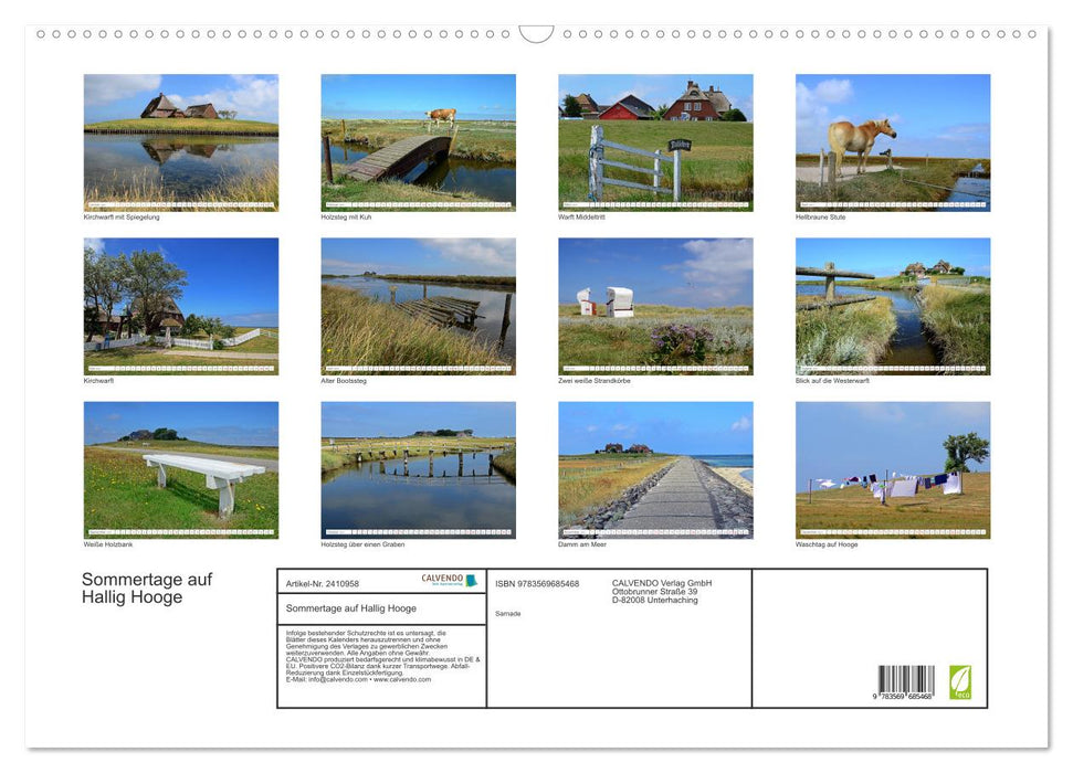 Sommertage auf Hallig Hooge (CALVENDO Wandkalender 2027)