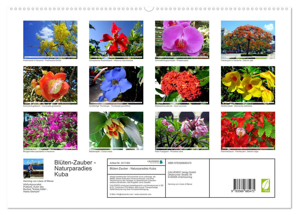 Blüten-Zauber - Naturparadies Kuba (CALVENDO Premium Wandkalender 2027)
