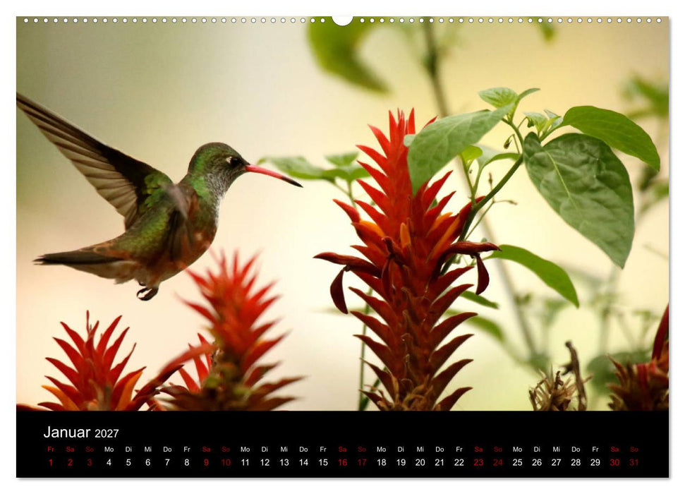 Ama la Vida Ecuador (CALVENDO Premium Wandkalender 2027)