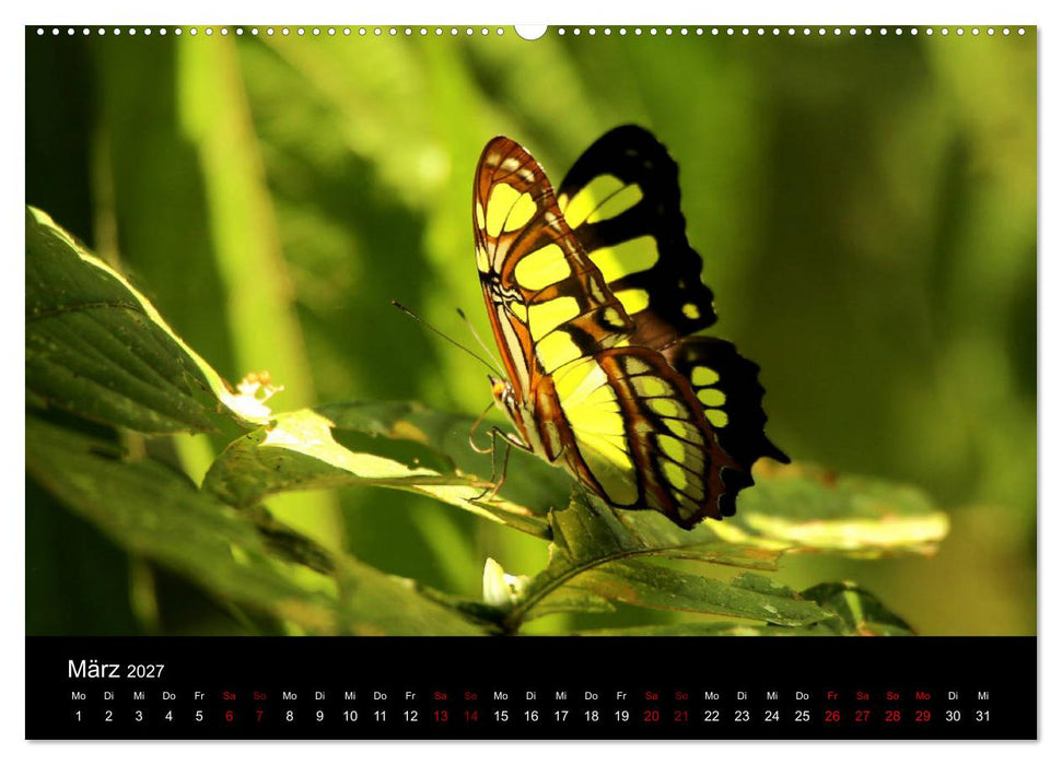 Ama la Vida Ecuador (CALVENDO Premium Wandkalender 2027)