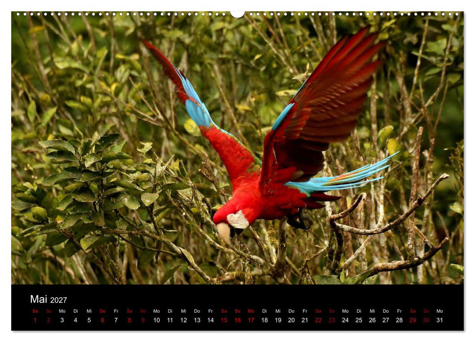Ama la Vida Ecuador (CALVENDO Premium Wandkalender 2027)