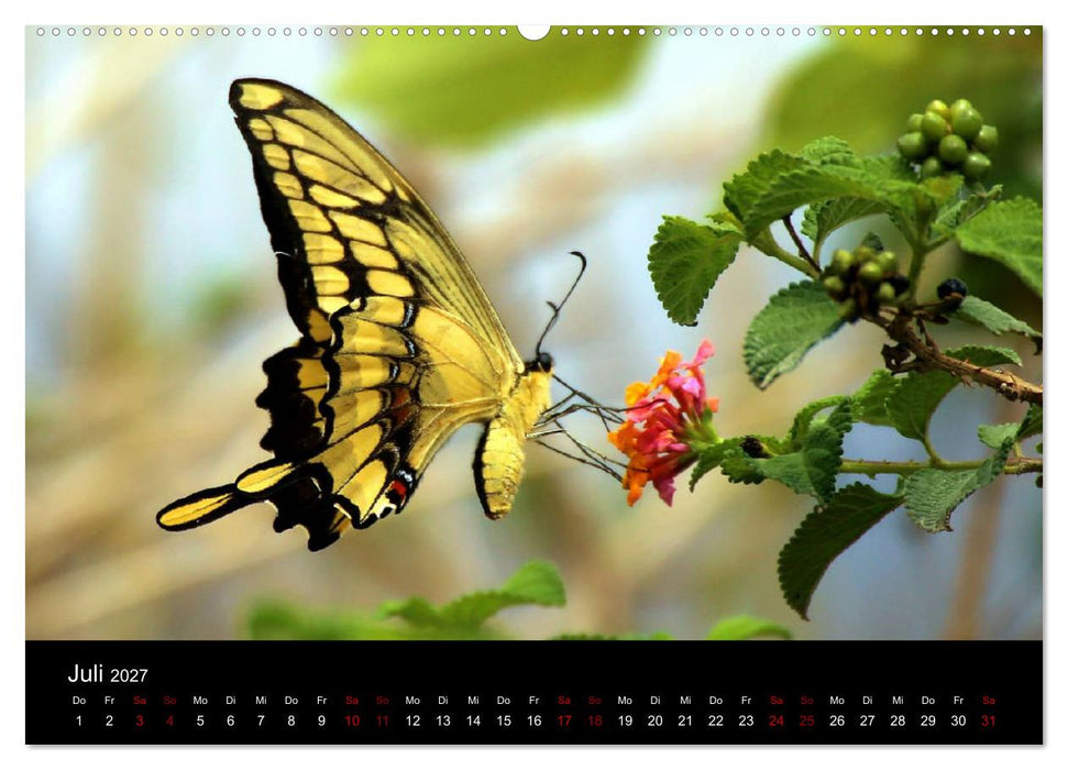 Ama la Vida Ecuador (CALVENDO Premium Wandkalender 2027)
