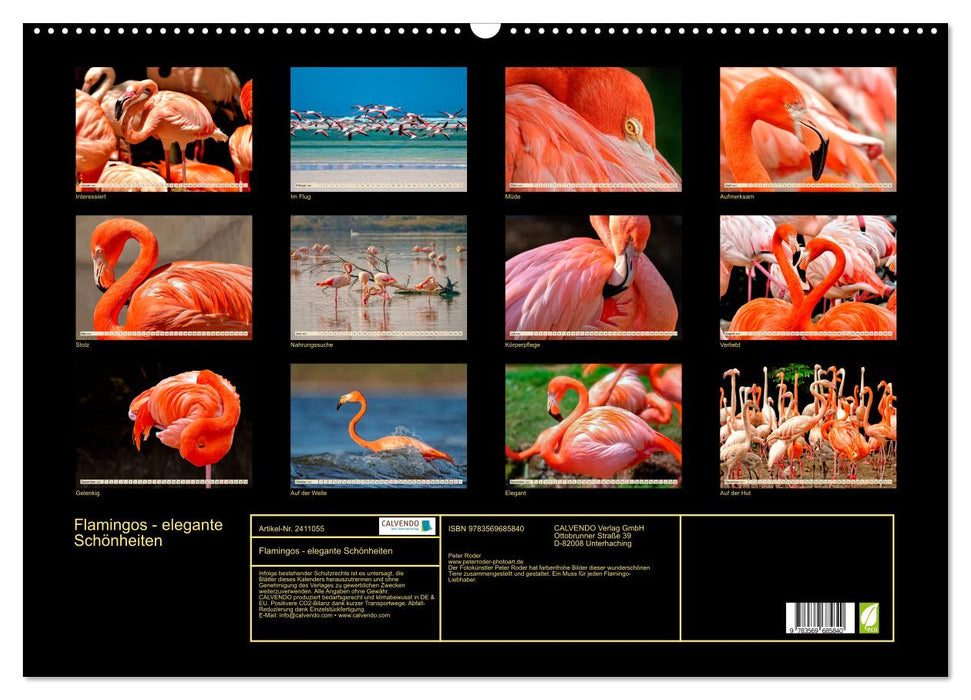 Flamingos - elegante Schönheiten (CALVENDO Wandkalender 2027)