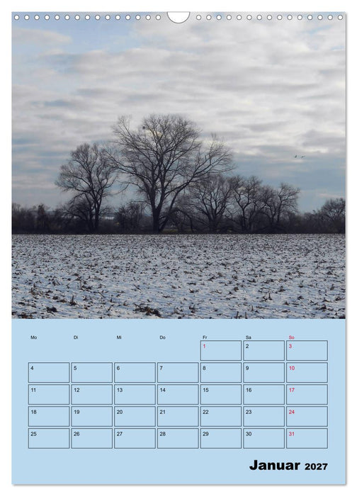 Leinemasch (CALVENDO Wandkalender 2027)