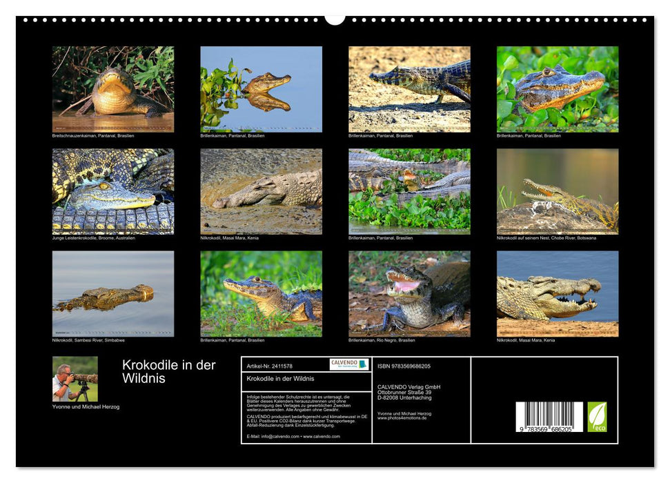 Krokodile in der Wildnis (CALVENDO Premium Wandkalender 2027)