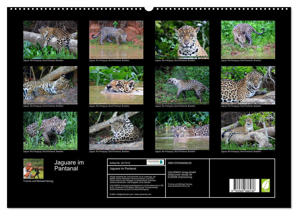 Jaguare im Pantanal (CALVENDO Premium Wandkalender 2027)