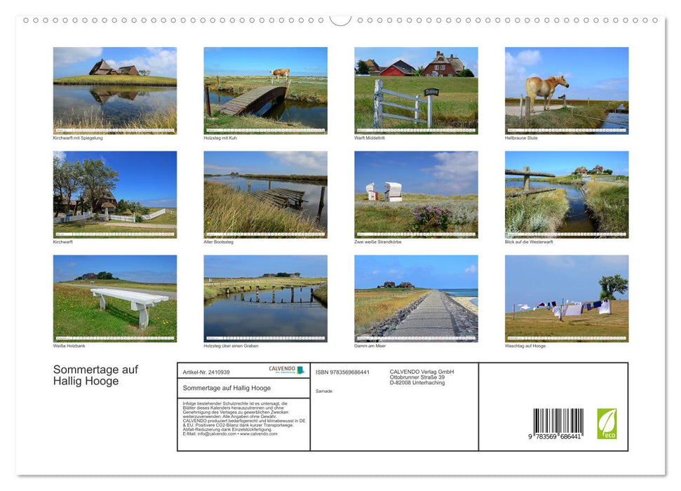 Sommertage auf Hallig Hooge (CALVENDO Premium Wandkalender 2027)