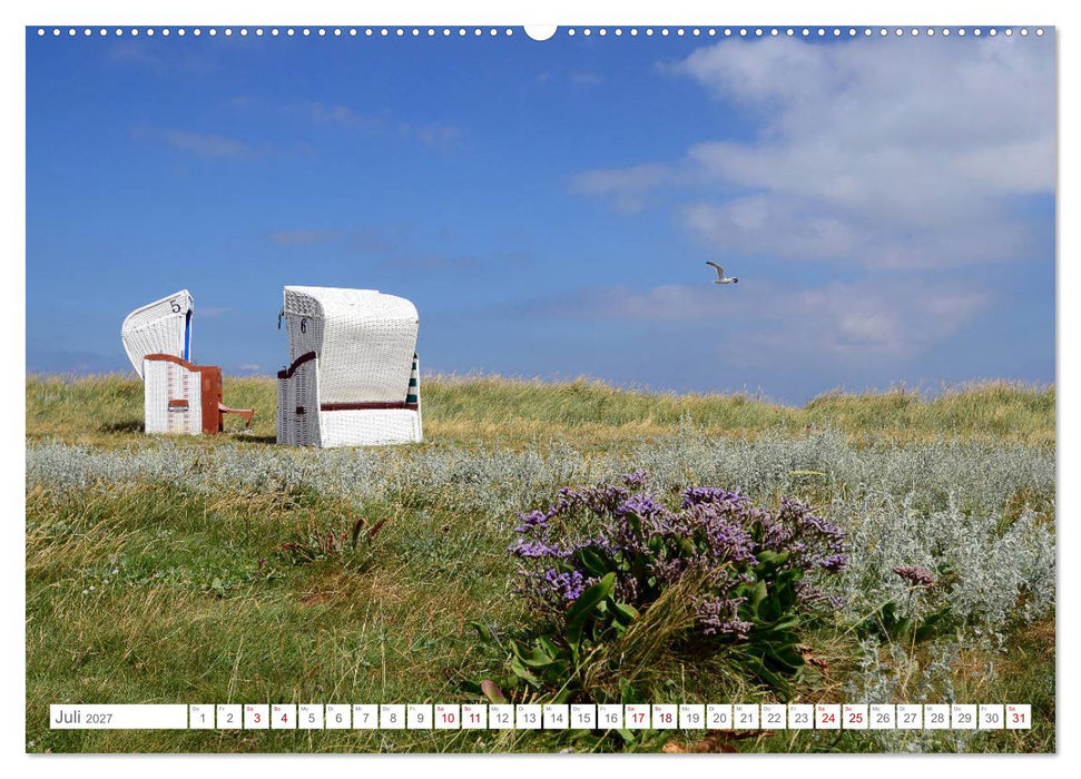 Sommertage auf Hallig Hooge (CALVENDO Premium Wandkalender 2027)