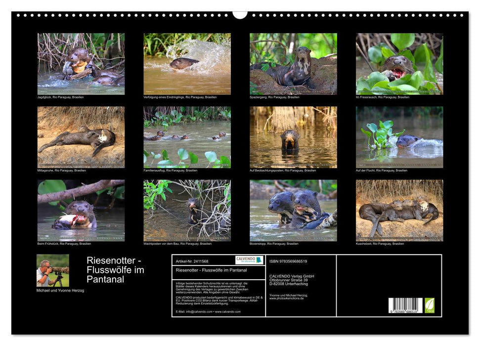 Riesenotter - Flusswölfe im Pantanal (CALVENDO Wandkalender 2027)