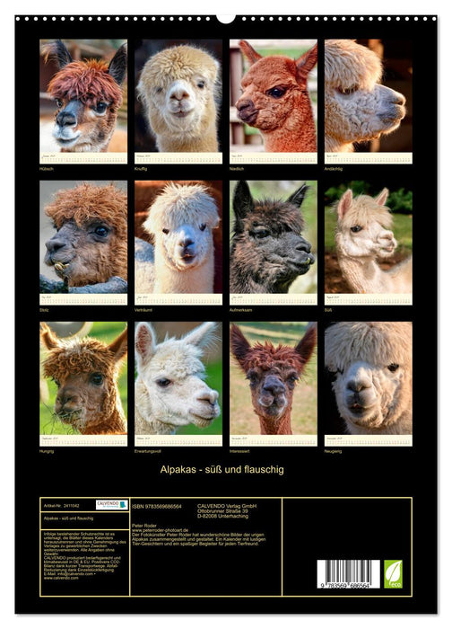 Alpakas - süß und flauschig (CALVENDO Premium Wandkalender 2027)