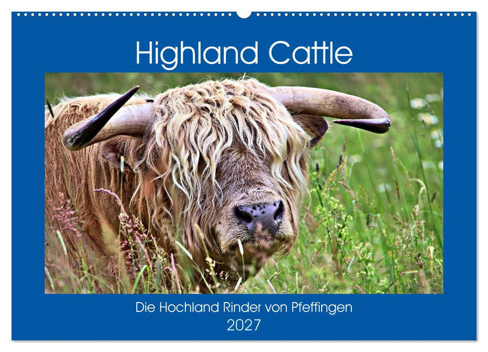 Highland Cattle, die Hochlandrinder aus Pfeffingen (CALVENDO Wandkalender 2027)