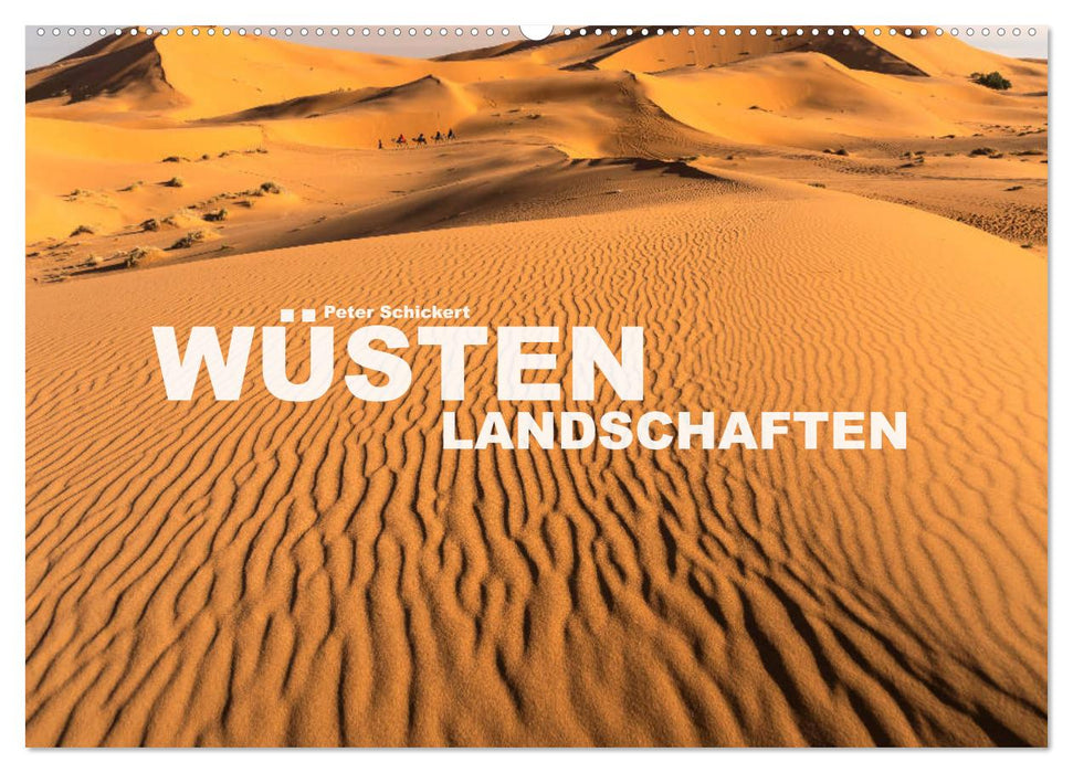Wüstenlandschaften (CALVENDO Wandkalender 2027)