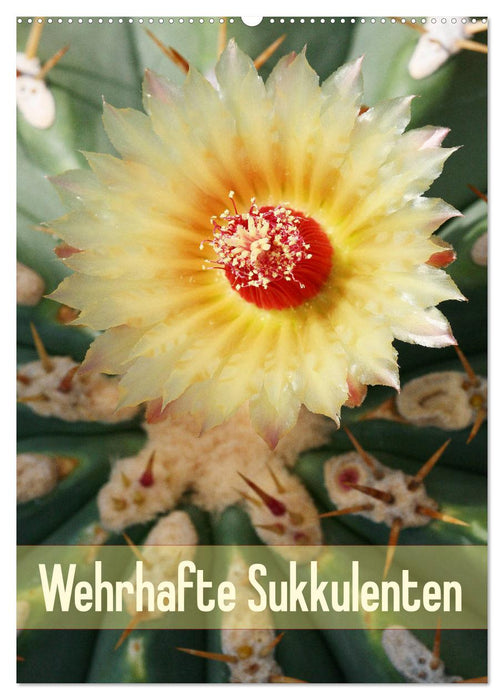 Wehrhafte Sukkulenten (CALVENDO Wandkalender 2027)