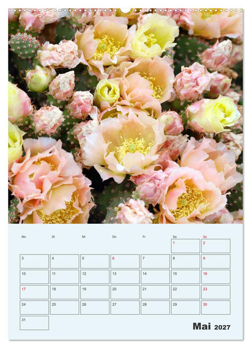 Wehrhafte Sukkulenten (CALVENDO Wandkalender 2027)