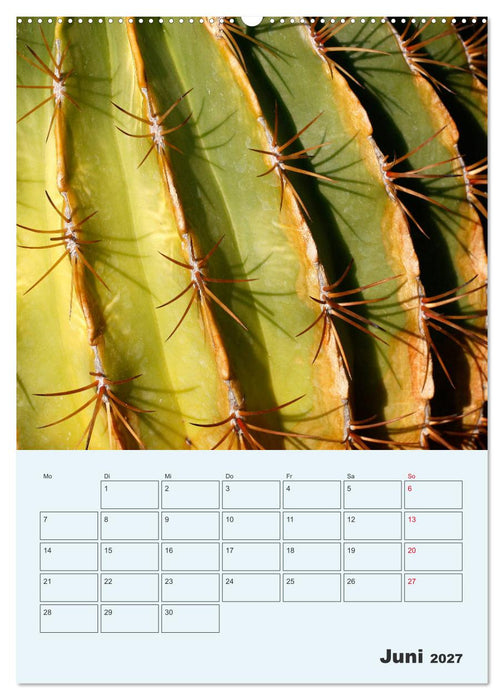 Wehrhafte Sukkulenten (CALVENDO Wandkalender 2027)
